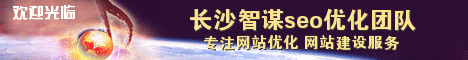 长沙智谋seo优化团队